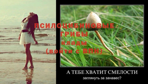 молекула духа Нефтегорск