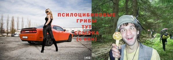 молекула духа Нефтегорск