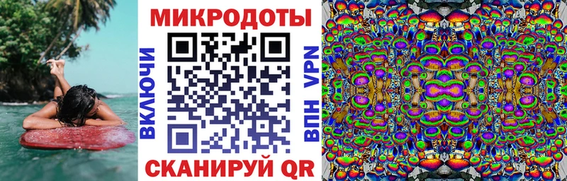 Псилоцибиновые грибы Psilocybine cubensis  Инта 